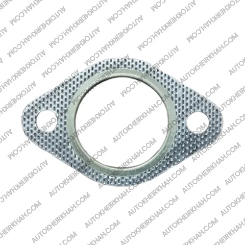 واشر گلویی دو سوراخ پاژن V6