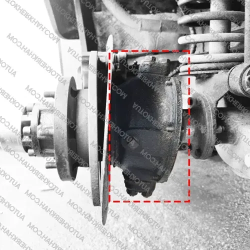 کاسه سگ‌دست استوک پاژن